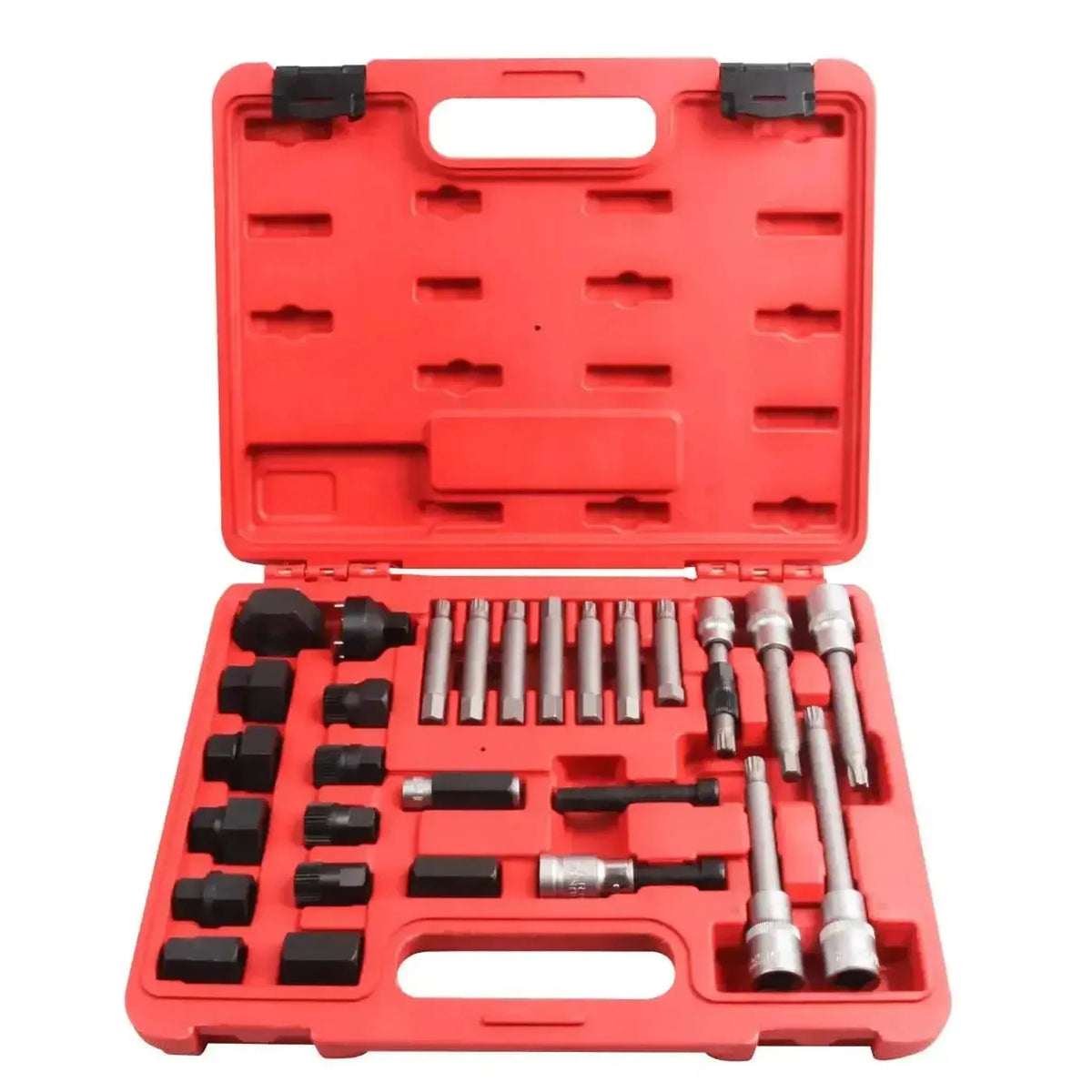 VT01753 | Set Puleggia Dinamo-Libera (30 pezzi)