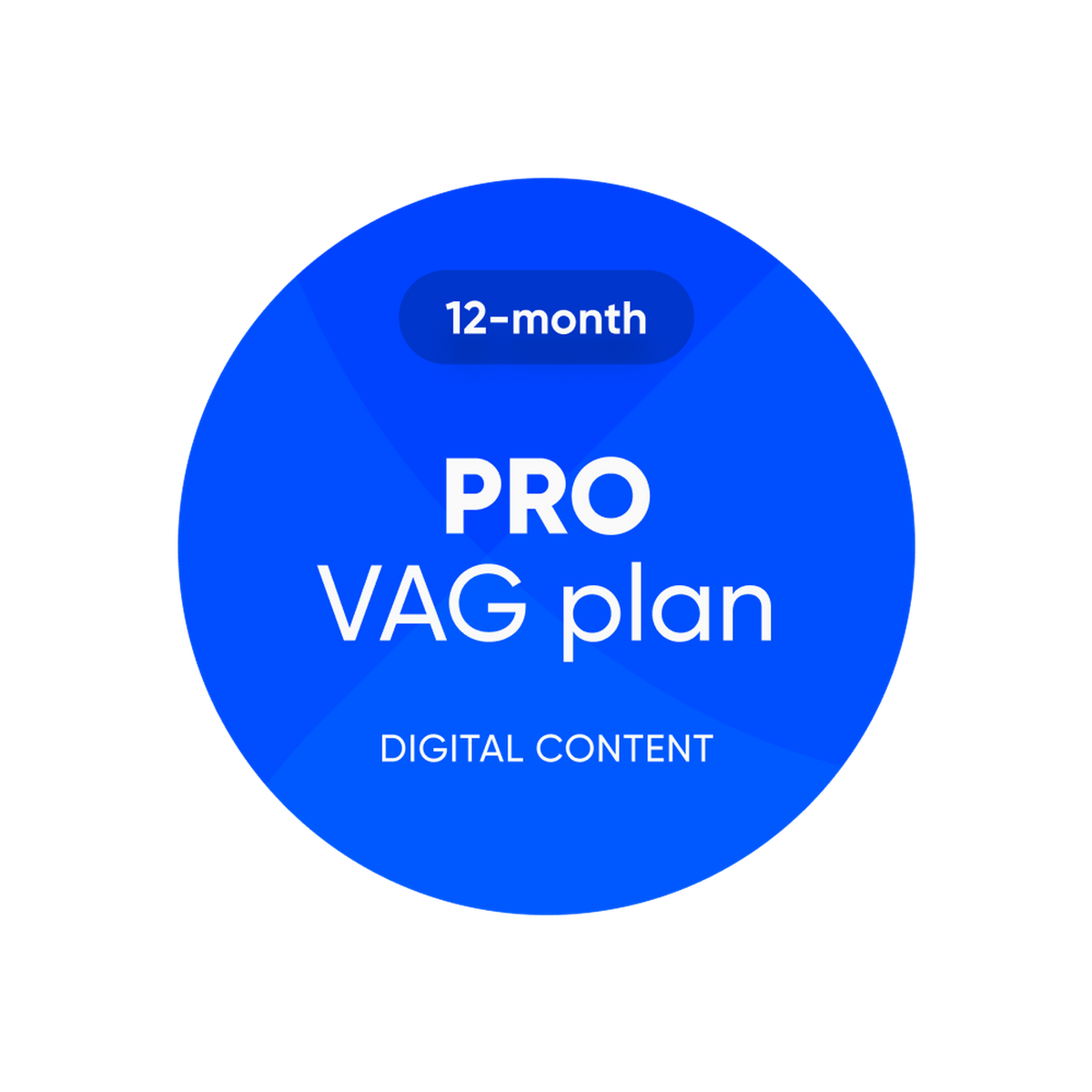 OBDeleven | Pro VAG Plan | Licenza software