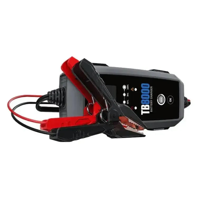 Topdon TB8000 | Caricabatterie di mantenimento