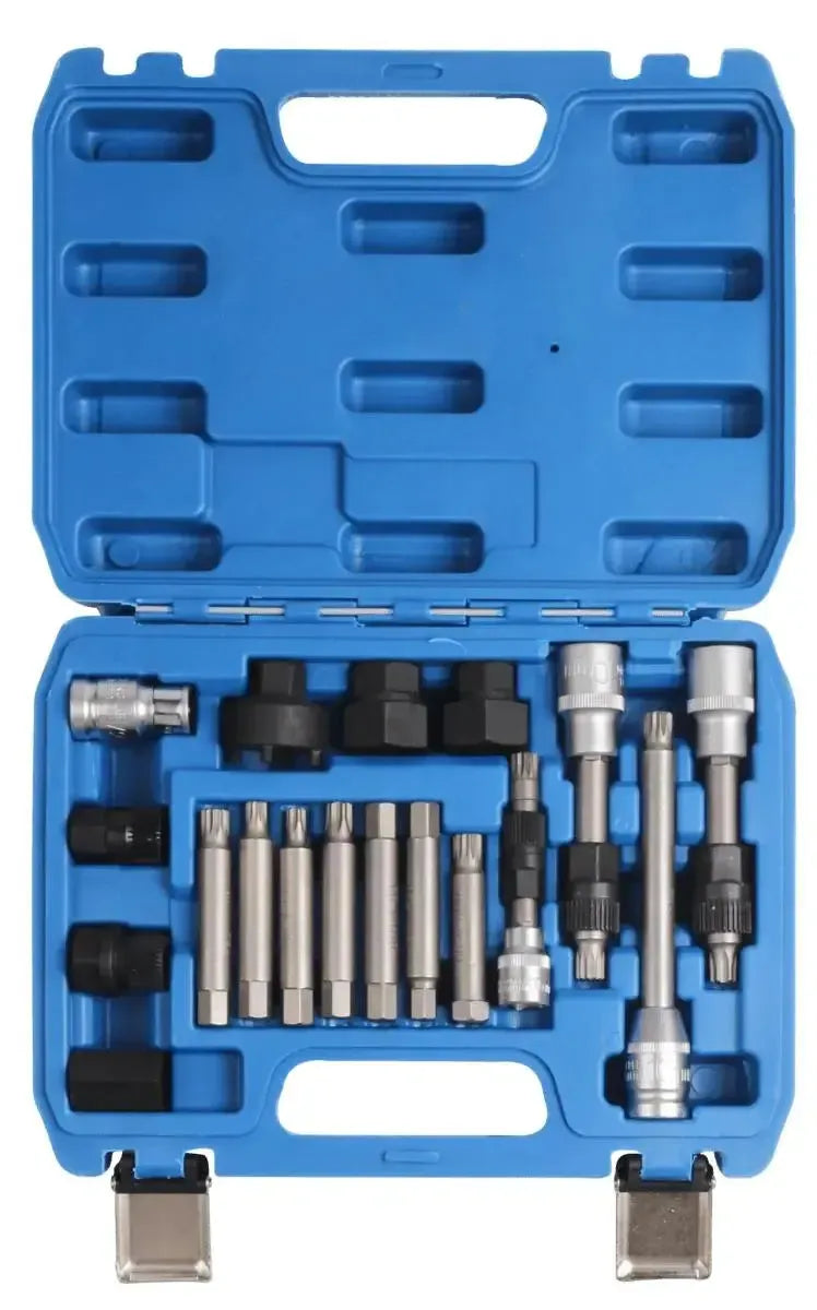 VT01318 Set Puleggia Dinamo/Libera 18 Pezzi