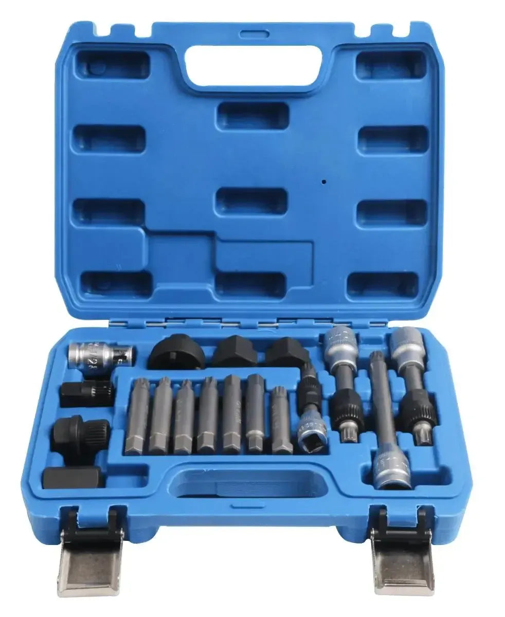 VT01318 Set Puleggia Dinamo/Libera 18 Pezzi